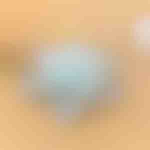 Rotačná miska | SNACKARO