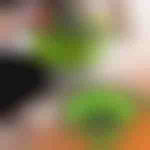 Silikónové cedidlá (2 ks) | FOLDRAIN