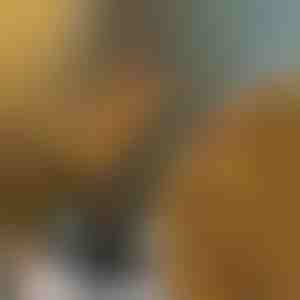 Svietiace vetvičky | BRANCHLUMOS