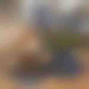 Skladacia miska 2 v 1 na jedlo a vodu pre domáce zvieratá | WOOFDISH