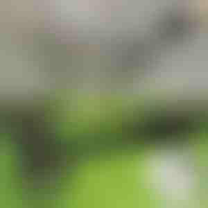 Nástroj na odstraňovanie buriny | RUNCO