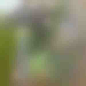 Motyka na záhradu pre jednoduché odstraňovanie buriny | GRASSOE