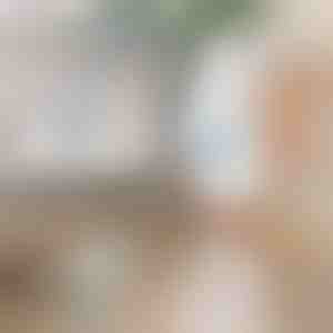 Elektrická rotačná čistiaca kefa | ROTOBRUSH