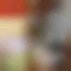 Ručný sekáčik na zeleninu | CHOPSTER