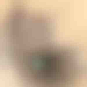 Hračka pre mačky | PREYPLAY