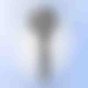 Multifunkčná masážna sprcha | SHOWERELAX